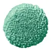Spearmint