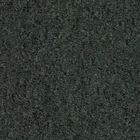 393350 Castor Grey