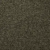 T393180 Moon Rock