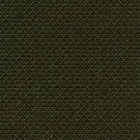 396740 Avocado