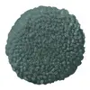 Fern