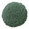 Tarragon