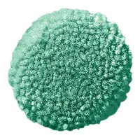 Spearmint