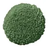 Broom
