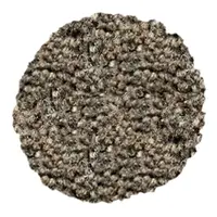 Fossil