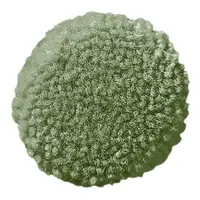Bayleaf