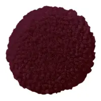 Rosa rosa