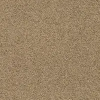 T371210 Champagne
