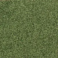 T371740 Cactus