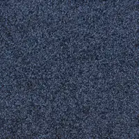 T371870 Blue Ocean