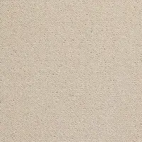 1004 Cotton