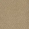 438100 Sandshell