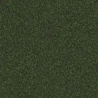613 Kiwi