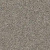 556 Sand