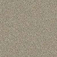 1404 Kiesel