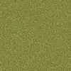 1401 Pesto