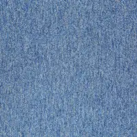 20281 Baltic Blue