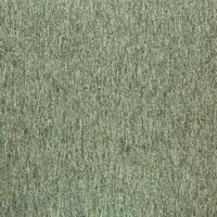20282 Greenland Fern
