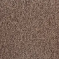 20284 Tasmanian Rock