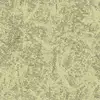 22817 Gingko
