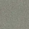 T850001300