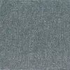 T850001300