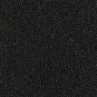 21801 Jet Black