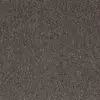 21815 Dark Beige