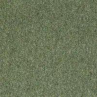21818 Moss Green