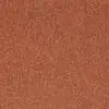21819 Orange