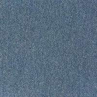 21810 Sky Blue