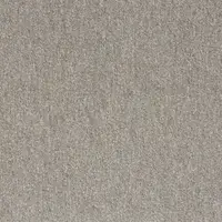 21813 Light Beige