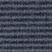 3949550 Blue Violet