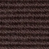 3949870 Violet