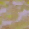 Kimi 1801