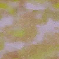 Kimi 1801