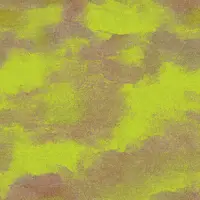 Kimi 1803