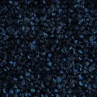 000410-303