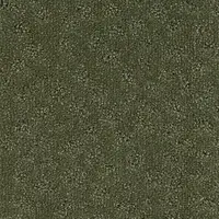 000010-405