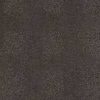 000010-701
