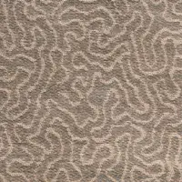 Coral 9004