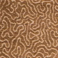 Coral 9006