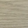 7226 Beach Oak