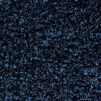 000010-303