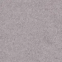 LYHO.052 Crocus 2