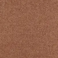 ZEO.0332 Apricot 2