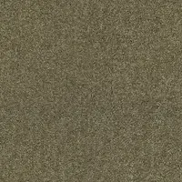 ZEO.0484 Barley 4