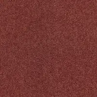 ZEO.0131 Rose 1