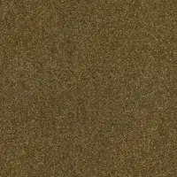 ZEO.0384 Bronze 4