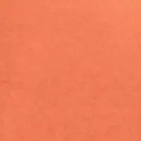 4033